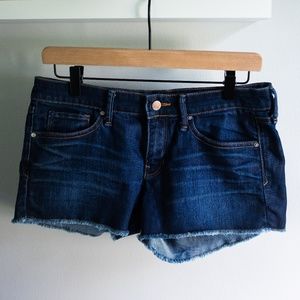 Gap Denim Shorts